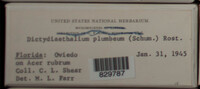 Image Associated With the Occurence